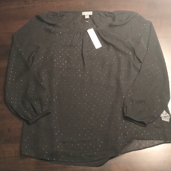 NWT J Crew Point Sur Long Sleeve Chiffon Blouse - Picture 5 of 6